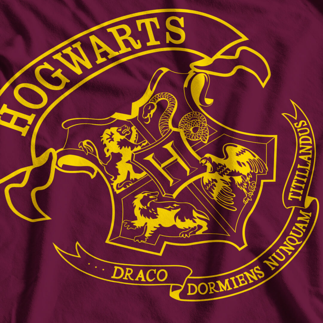 Harry Potter Inspired Hogwarts School Crest Adult and Kids T Shirt